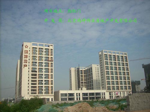 11.JPG